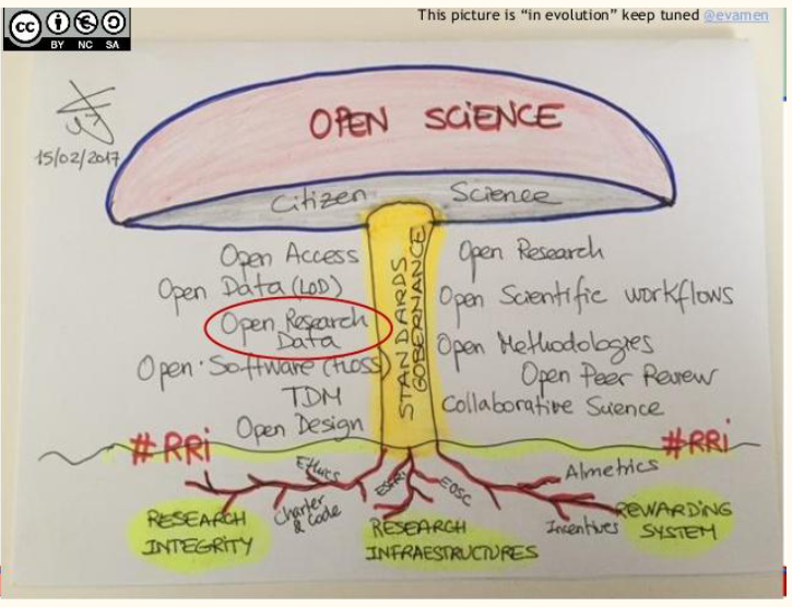 ciència oberta