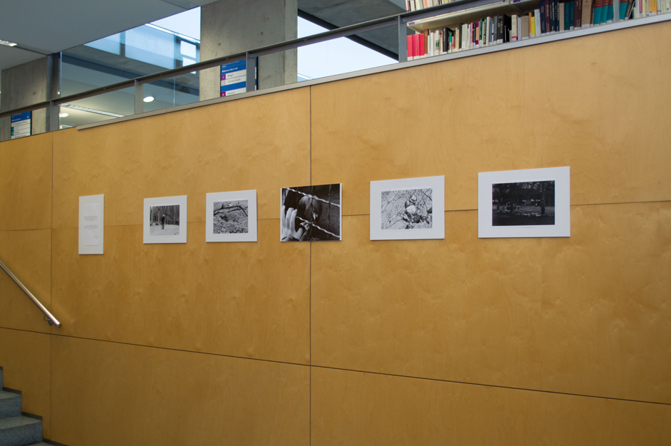 Exposicions a la Biblioteca del campus Barri Vell