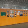 Exposició biblioteca del campus Montilivi