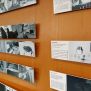 Exposició biblioteca del campus Montilivi