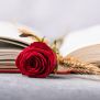 Sant Jordi