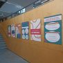 Relacions afectivo-sexuals de persones amb discapacitat intel·lectual