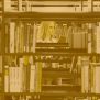 Dia Internacional de les Biblioteques