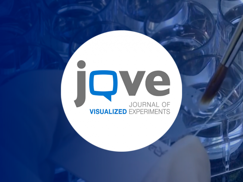 Journal of Visualized Experiments (JoVE)