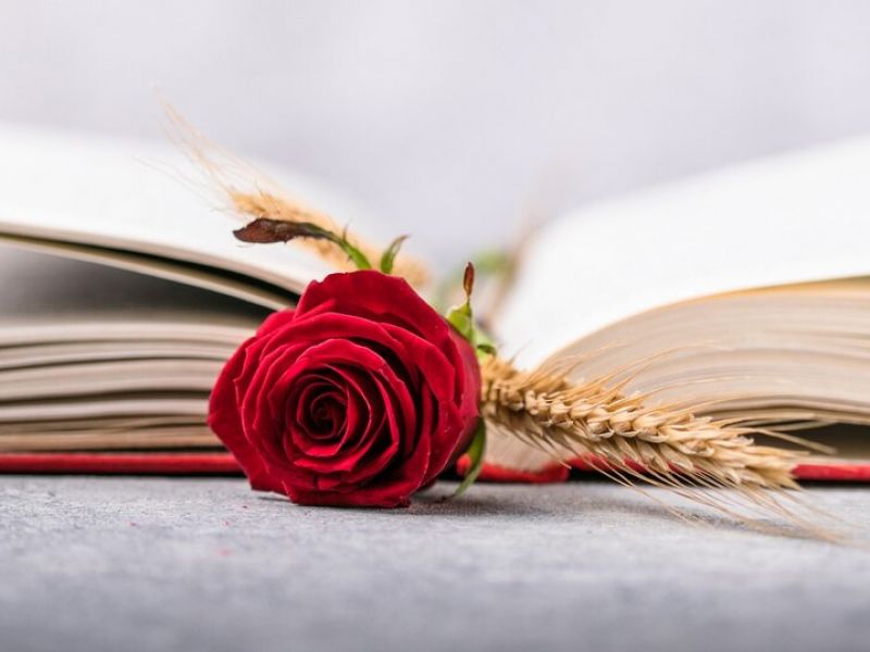 Sant Jordi